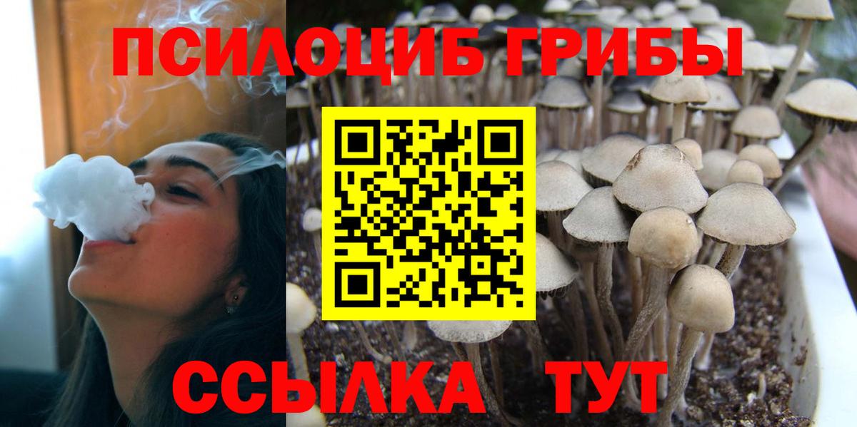 Ростов Великий  Галлюциногенные грибы Magic Shrooms  Вход с VPN 